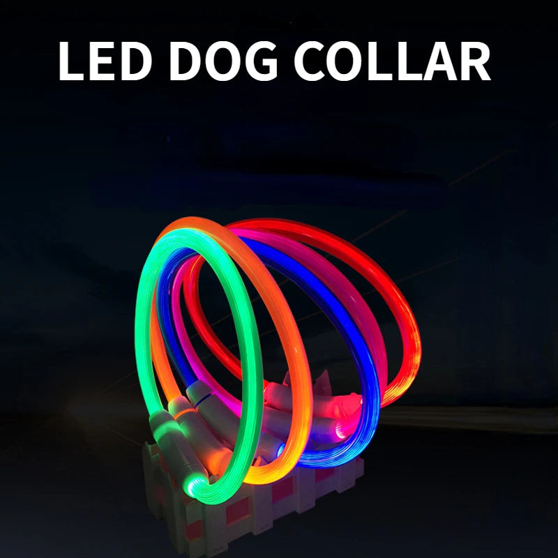 LED Light-Up Dog Collar – USB Rechargeable Luminous Pet Collar for Dogs & Cats - Top Dogg Brand