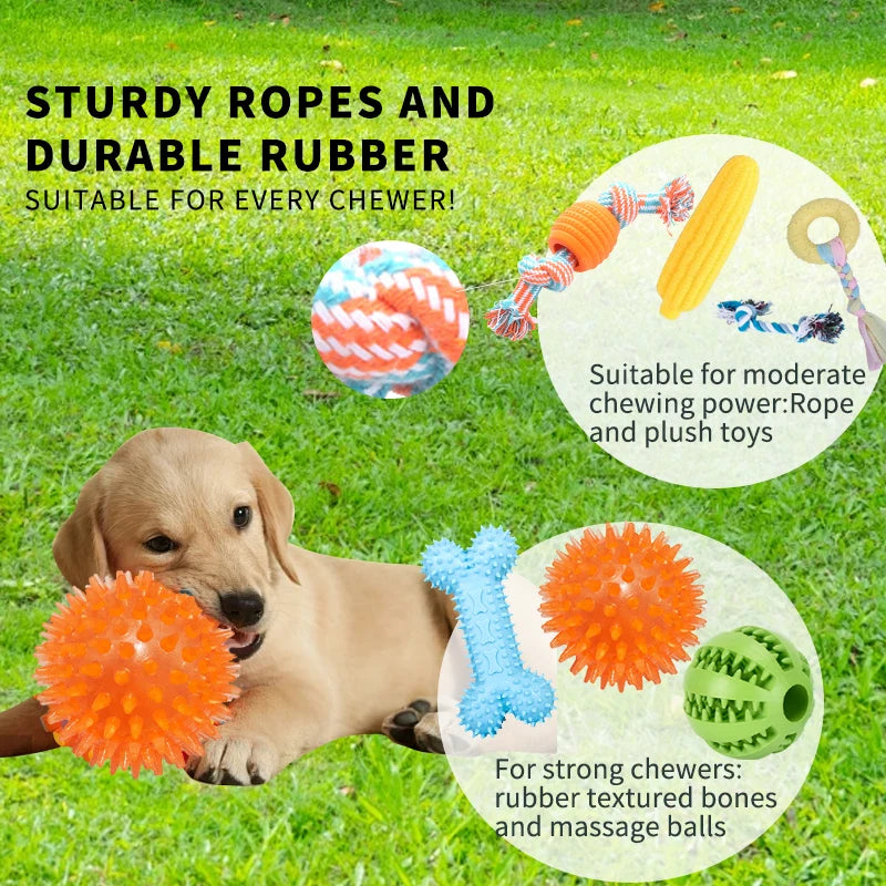 18-Pack Dog Toy Set – Squeaky Toys, Chew Ropes, Food Dispensers & Training Toys - Top Dogg Brand