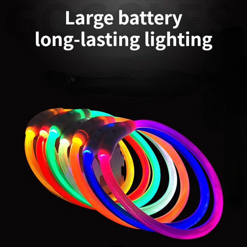 LED Light-Up Dog Collar – USB Rechargeable Luminous Pet Collar for Dogs & Cats - Top Dogg Brand