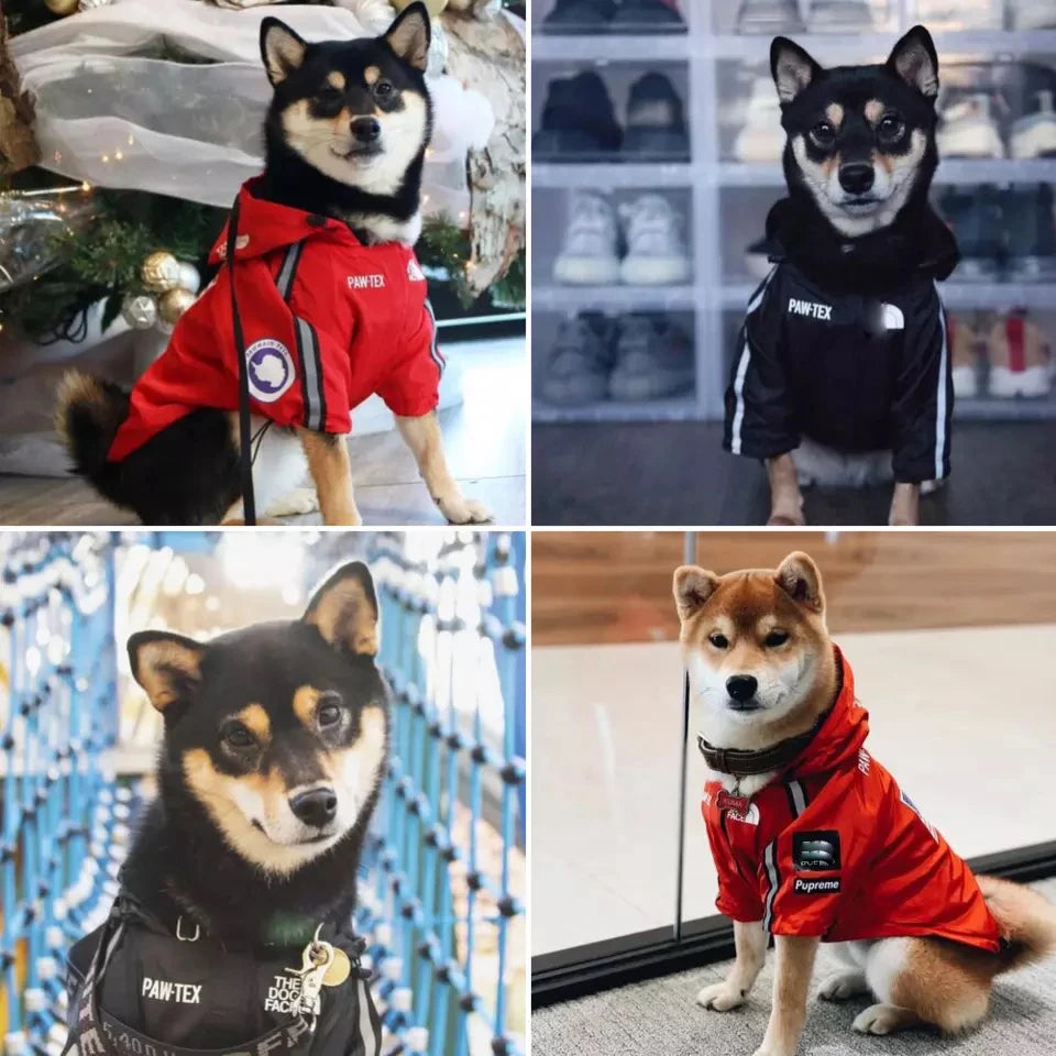 Waterproof Dog Coat with Hood – “The Dog Face” Outdoor Rain Jacket | Reflective - Top Dogg Brand