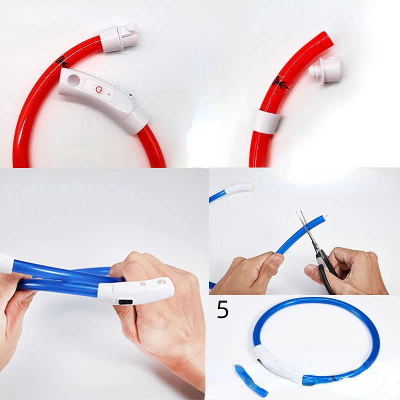 LED Light-Up Dog Collar – USB Rechargeable Luminous Pet Collar for Dogs & Cats - Top Dogg Brand