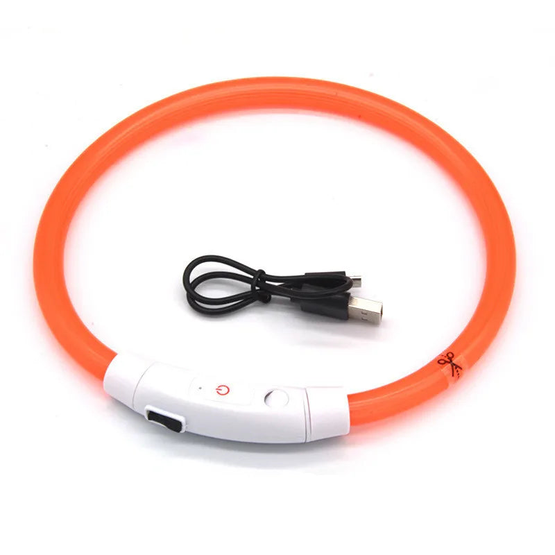 LED Light-Up Dog Collar – USB Rechargeable Luminous Pet Collar for Dogs & Cats - Top Dogg Brand