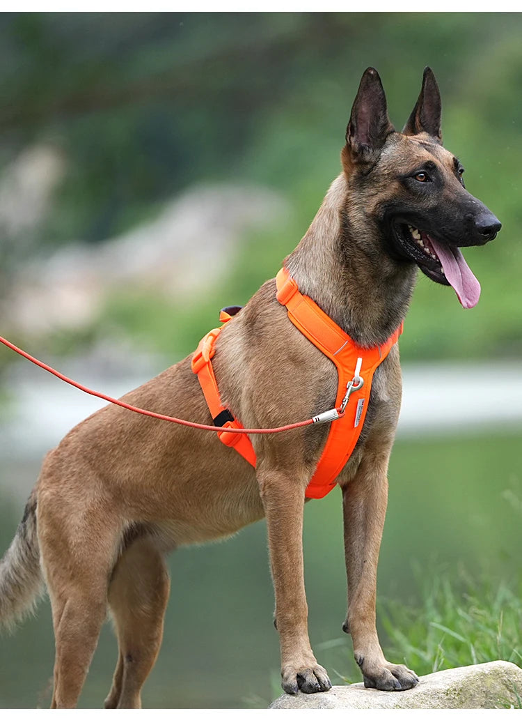 No-Pull Reflective Dog Harness – Adjustable, Breathable Vest for Dogs - Top Dogg Brand