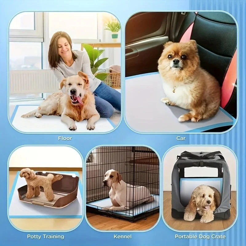 100/50/40PCS Super Absorbent Dog Pee Pads – Leak-Proof, - Top Dogg Brand