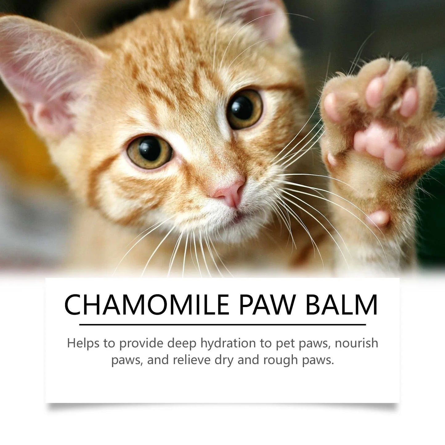 Natural Dog Paw Balm – Lick-Safe Moisturizer for Dry Paws - Top Dogg Brand