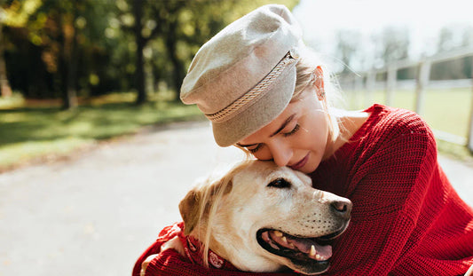 Must-Have Pet Gadgets That Make Life Easier for You and Your Dog