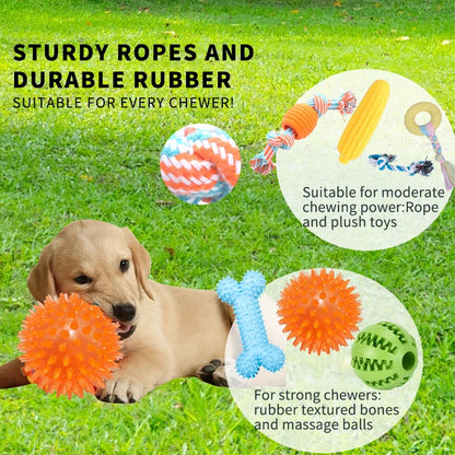 18-Pack Dog Toy Set – Squeaky Toys, Chew Ropes, Food Dispensers & Training Toys - Top Dogg Brand