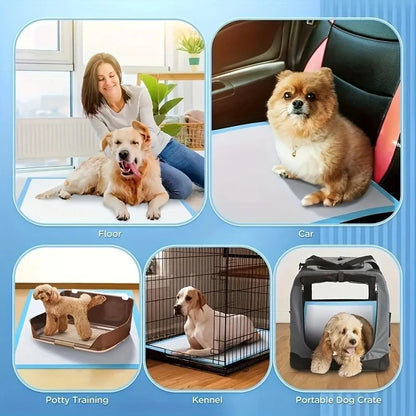 100/50/40PCS Super Absorbent Dog Pee Pads – Leak-Proof, - Top Dogg Brand