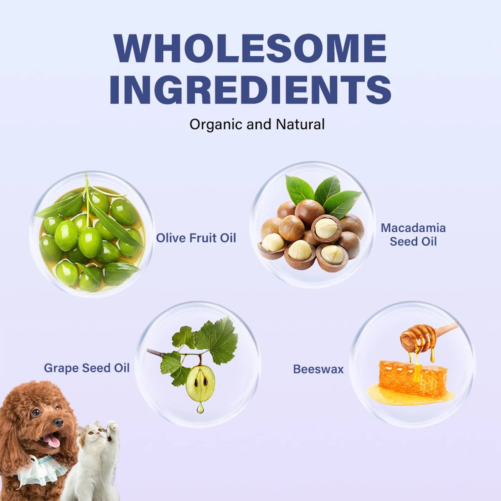 1PCS Dog Paw Balm Moisturizing Natural Cream Cat Paw Wax Nose Protector Moisturizer Pet Crack Feet Repair Winter Care Supplies - Top Dogg Brand