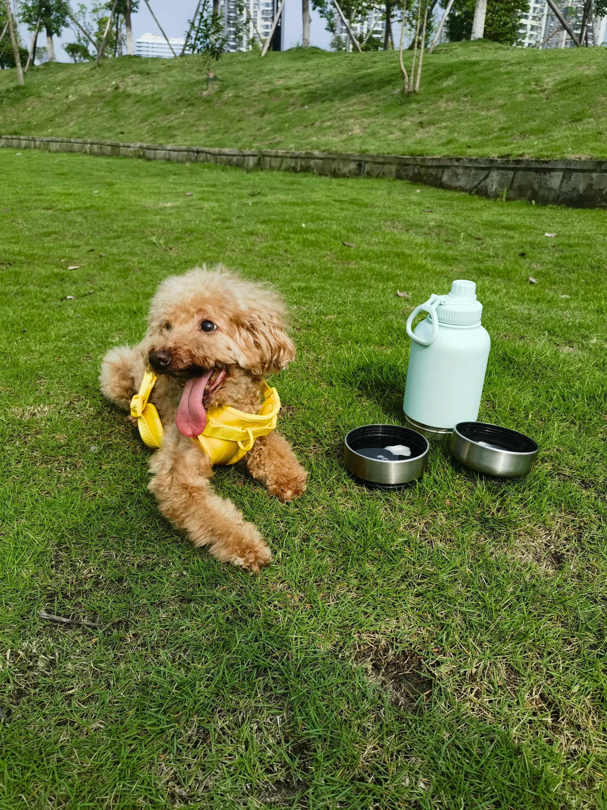 OKKPETS 32Oz Portable 3 in 1 Pet Water Bottle Stainless Steel Pet Insulated Feeder Travel Outdoor 34Oz Pet Bowl Dog Food Cup - Top Dogg Brand