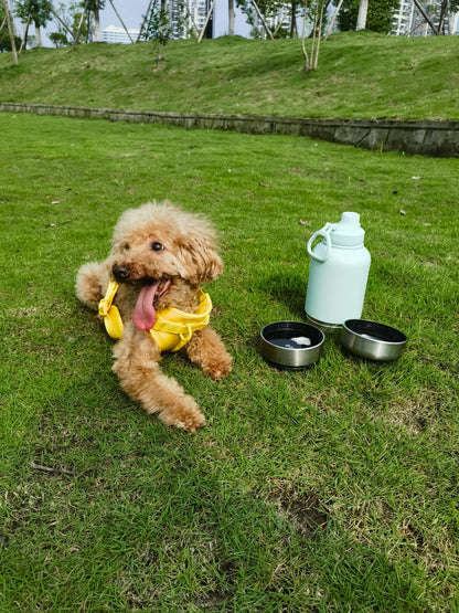 OKKPETS 32Oz Portable 3 in 1 Pet Water Bottle Stainless Steel Pet Insulated Feeder Travel Outdoor 34Oz Pet Bowl Dog Food Cup - Top Dogg Brand