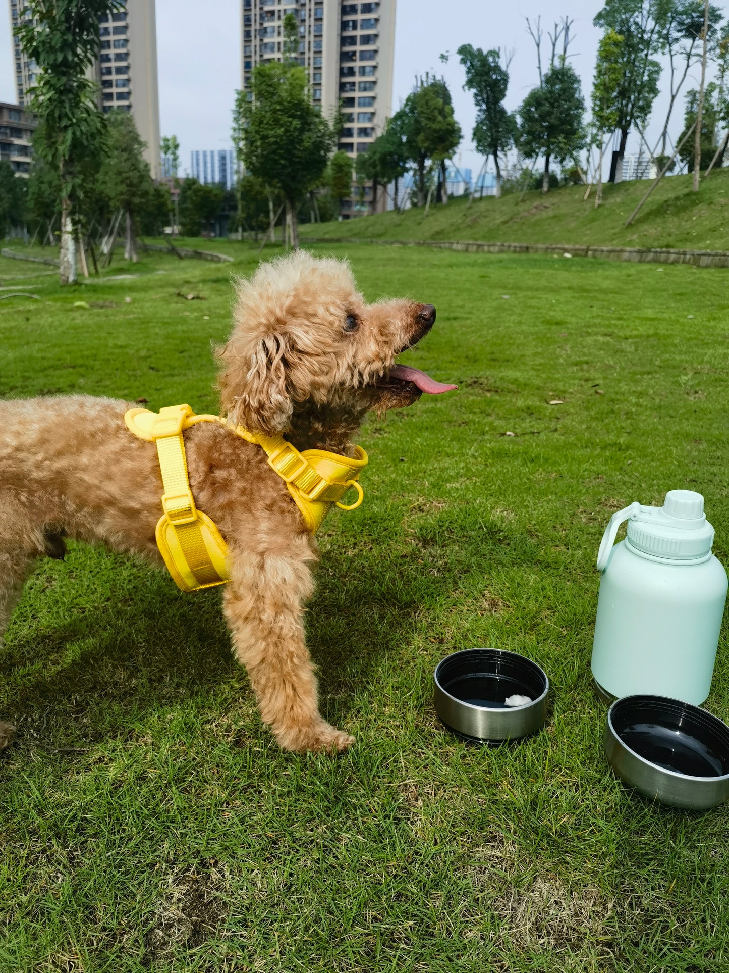 OKKPETS 32Oz Portable 3 in 1 Pet Water Bottle Stainless Steel Pet Insulated Feeder Travel Outdoor 34Oz Pet Bowl Dog Food Cup - Top Dogg Brand